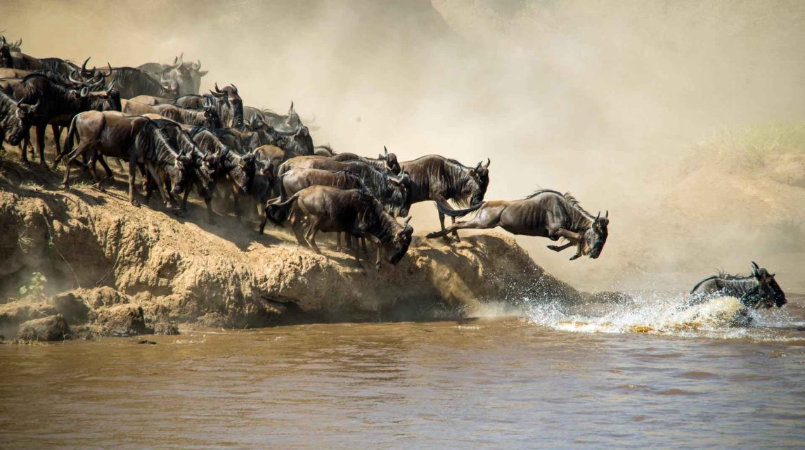 Serengeti-Migration-Safari