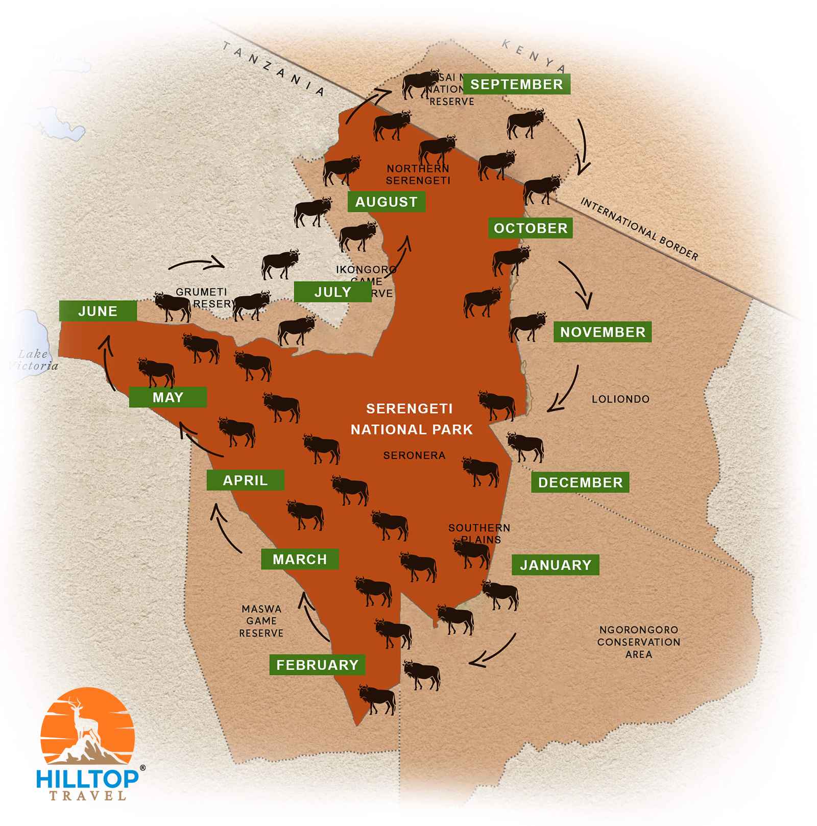 Best Month to Visit Serengeti for the Great Migration